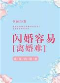 闪婚容易离婚难同类