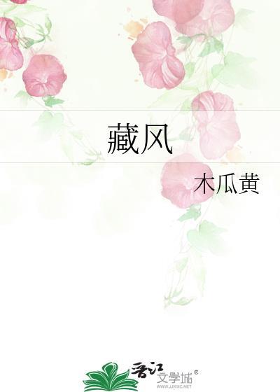藏风是双男主吗