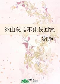 电视剧冰山总裁