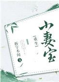 小妻宝重生txt全文阅读