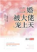 二婚大佬宠上瘾