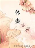 休妻实录好看