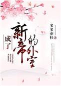 成了新帝的外室多多亦杉