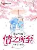 陆先生的情之所归