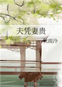 夫凭妻贵清越流歌