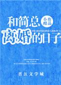 和简总离婚的日子无防盗章
