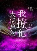 大佬总勾我撩他(快穿)txt