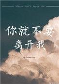 你就别再离开我好吗什么歌