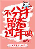 不分手留着过年吗晋江