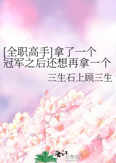 全职高手第一次职业比赛冠军