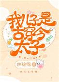 我儿子是古穿今太子 作者林绵绵