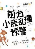 小鹿乱撞啥意思