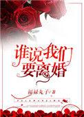 谁说我们要离婚 福禄丸子txt