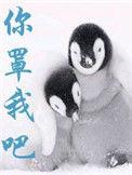 你罩我吧TXT全文