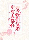 所有人都在等我们复婚txt