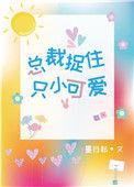 极品总裁小可爱