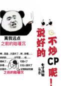 说好的不炒cp呢讲的什么