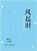 风起时 毛阿敏