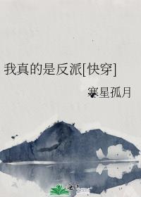 被招婿了txt