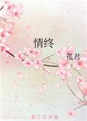 情终讲的什么故事
