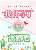 我们离婚吧是什么