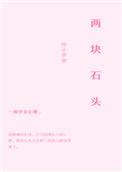 两块石头还是两颗石头