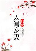 太傅宠妻日常子
