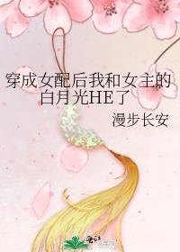 马甲在中什么意思
