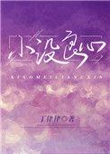 小没良心丁律律免费阅读