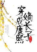穿成康熙嫡长子txt