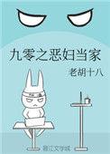 九零恶妇当家格格党