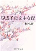 穿成圣母文中女配讲了什么