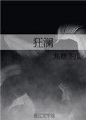 狂澜歌词
