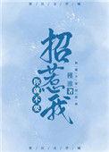 你就不用招惹我