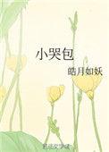 小哭包穿成魔尊炉鼎全本免费阅读