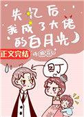 失忆后我成了大佬的白月光全文
