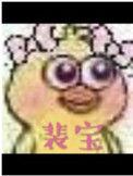 裴宝by池总渣免费阅读