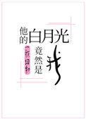 他的白月光竟然是我乐文