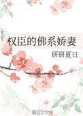 权臣的佛系娇妻番外
