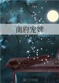 王府宠婢的更新时间