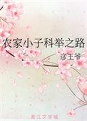 农家小子古代科举生活