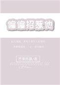 偏偏招惹晋江文学城