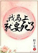 嫁给反派以后作者程十七