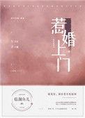 惹婚上门全文TXT