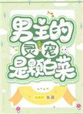 男主是女主灵宠的