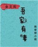 娘子在下有眼无珠资源
