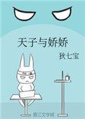 天子与娇娇晋江