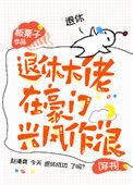 退休后我在豪门当大佬