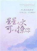可以撩你txt百度