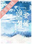 谁要和你结婚txt